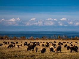 Issyk Kul Lake